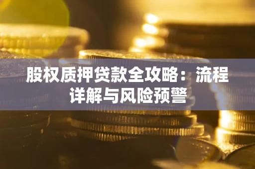 武汉股权质押贷款全攻略：流程详解与风险预警