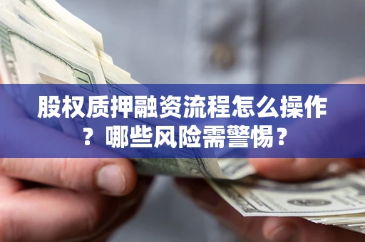 武汉股权质押融资流程怎么操作？哪些风险需警惕？