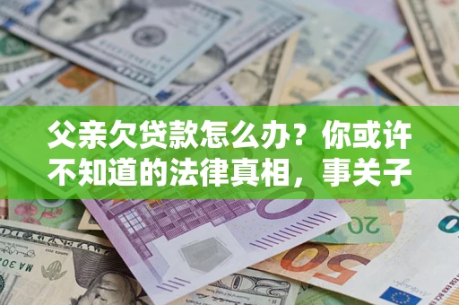 武汉父亲欠贷款怎么办？你或许不知道的法律真相，事关子女未来