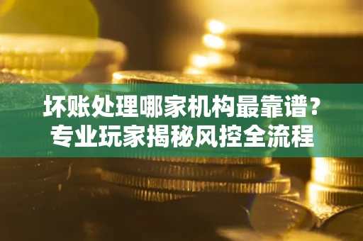 武汉坏账处理哪家机构最靠谱？专业玩家揭秘风控全流程