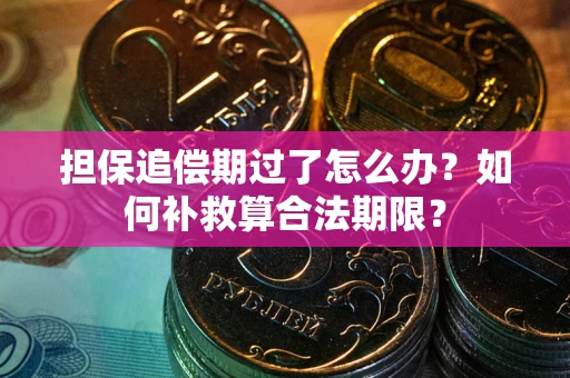 武汉担保追偿期过了怎么办？如何补救算合法期限？