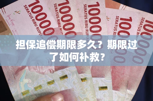 武汉担保追偿期限多久？期限过了如何补救？