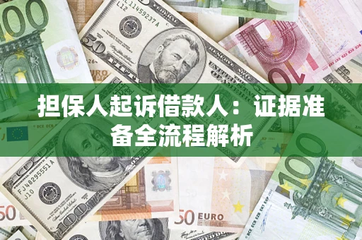 武汉担保人起诉借款人：证据准备全流程解析