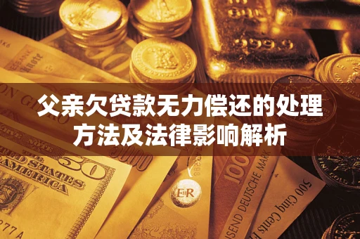 武汉父亲欠贷款无力偿还的处理方法及法律影响解析