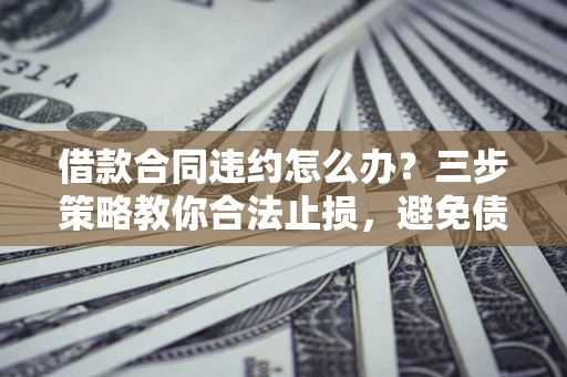 武汉借款合同违约怎么办？三步策略教你合法止损，避免债务危机升级