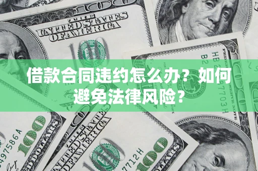 武汉借款合同违约怎么办？如何避免法律风险？