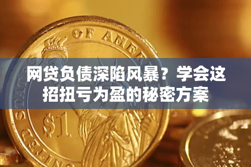 武汉网贷负债深陷风暴？学会这招扭亏为盈的秘密方案