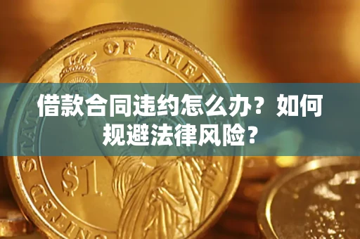 武汉借款合同违约怎么办？如何规避法律风险？